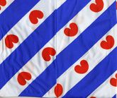 Exercise-Frisian-Flag-2012-RNAF.jpg