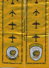 393-BSv4-B-2A-Whiteman-AFB-Side-2.png