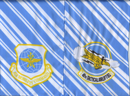 40-AS-C-130J-Dyess-AFB-Heritage-side-A.png