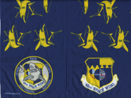 45-Space-Wing-Patrick-AFB.png
