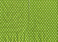 Unknown-Green-Polka-Dot-TCS.png