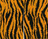 unknown-tiger-stripe.jpg